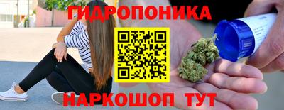PSILOCYBIN Краснодар