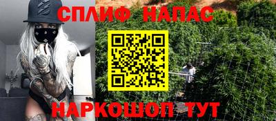 PSILOCYBIN Краснодар